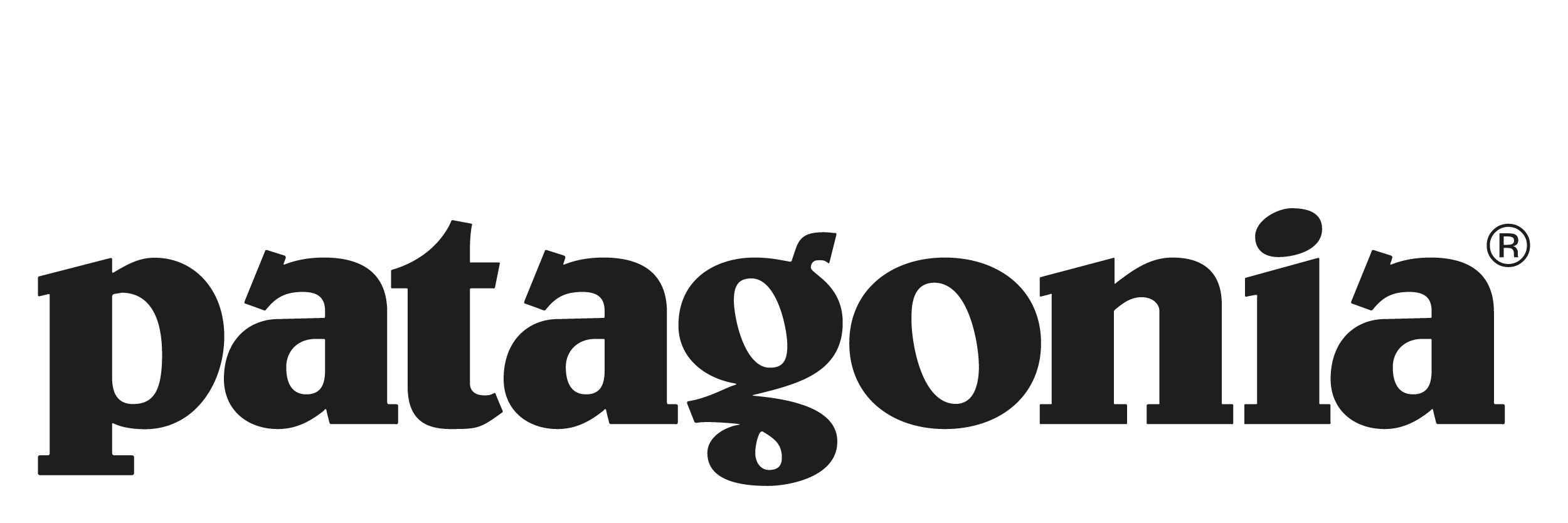 Patagonia Logo at the Hub & pisgah Tavern