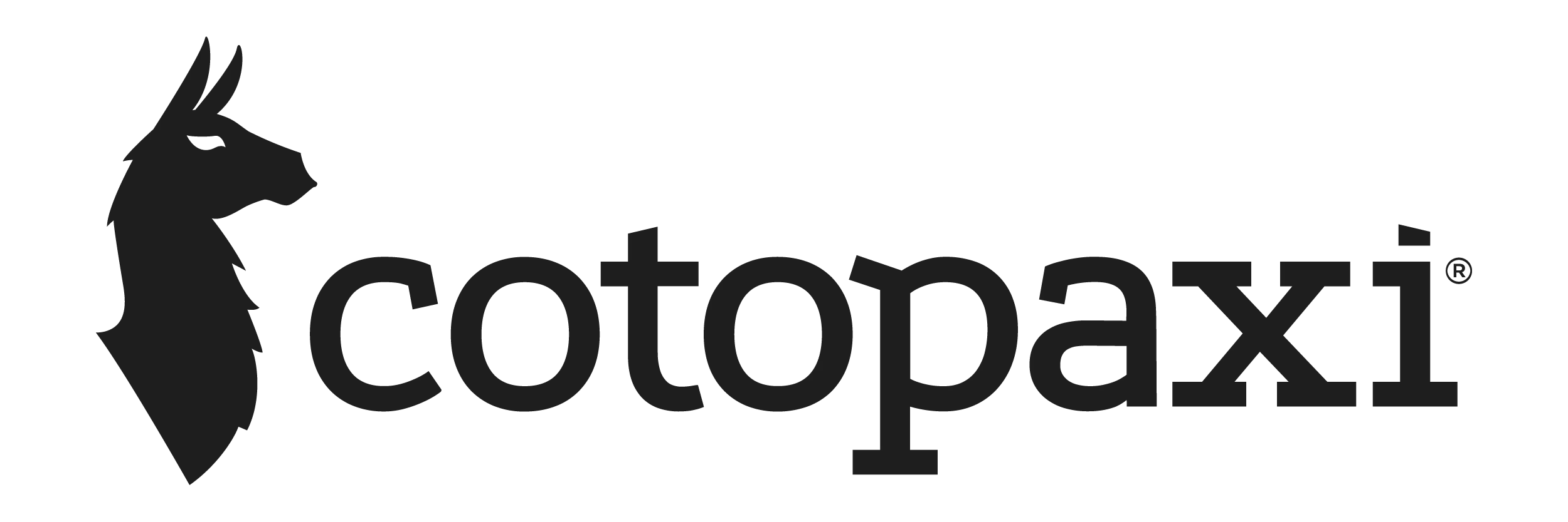 Cotopaxi Logo at the Hub & pisgah Tavern